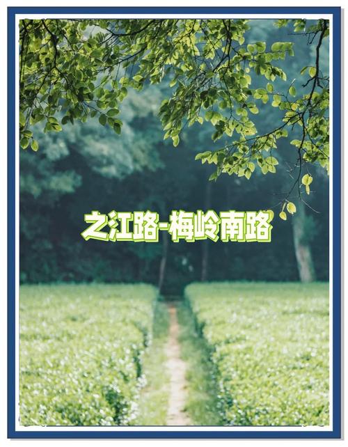 省妇保限行/省妇保能停车吗-第1张图片 省妇保限行/省妇保能停车吗-第1张图片