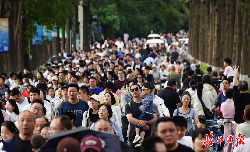 国庆武汉限行/武汉国庆假期限行吗-第2张图片 国庆武汉限行/武汉国庆假期限行吗-第2张图片