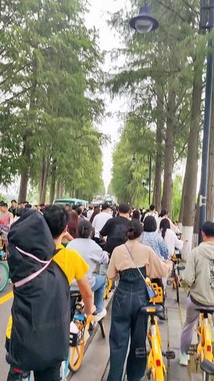 国庆武汉限行/武汉国庆假期限行吗-第4张图片 国庆武汉限行/武汉国庆假期限行吗-第4张图片