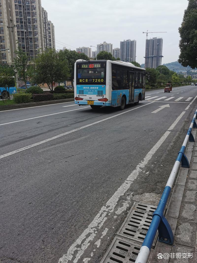 江津货车限行(江津货车限行路段图)-第4张图片 江津货车限行(江津货车限行路段图)-第4张图片