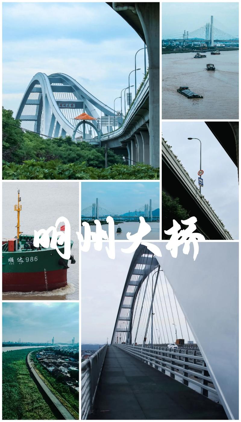宁波明州大桥限行(宁波明州大桥净空高度)-第5张图片