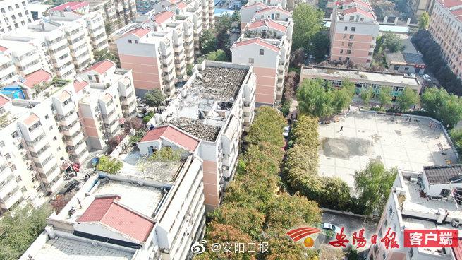 【安阳疫情小区,安阳哪个小区封了】-第5张图片 【安阳疫情小区,安阳哪个小区封了】-第5张图片