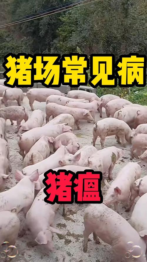 【2018猪肉疫情,2020猪肉疫情】-第1张图片 【2018猪肉疫情,2020猪肉疫情】-第1张图片
