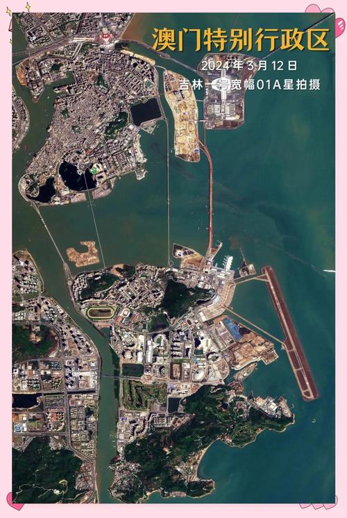 澳门疫情生活，疫情澳门损失惨重