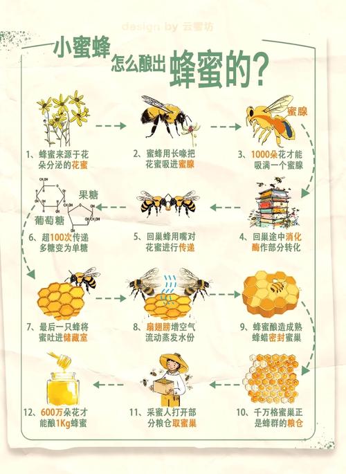 【安徽疫情养蜂,安庆养蜂专业合作社】-第3张图片