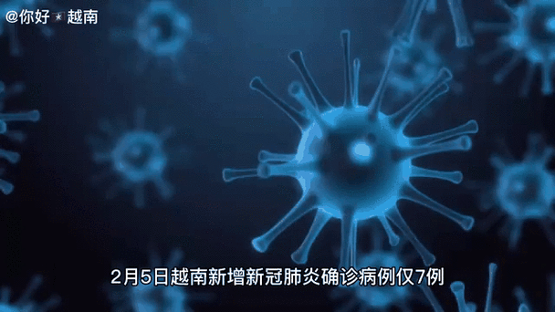 越南新冠疫情-越南新冠疫情最新数据-第3张图片 越南新冠疫情-越南新冠疫情最新数据-第3张图片