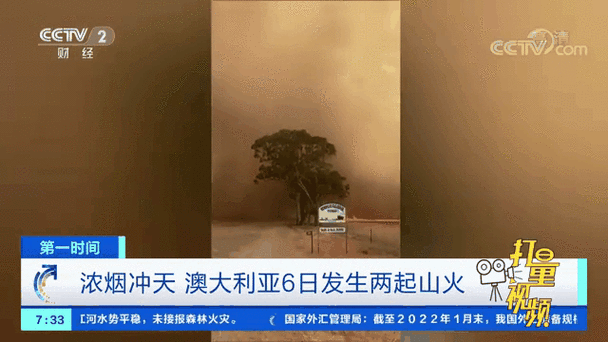 澳洲大火疫情/澳洲大火报道-第4张图片 澳洲大火疫情/澳洲大火报道-第4张图片
