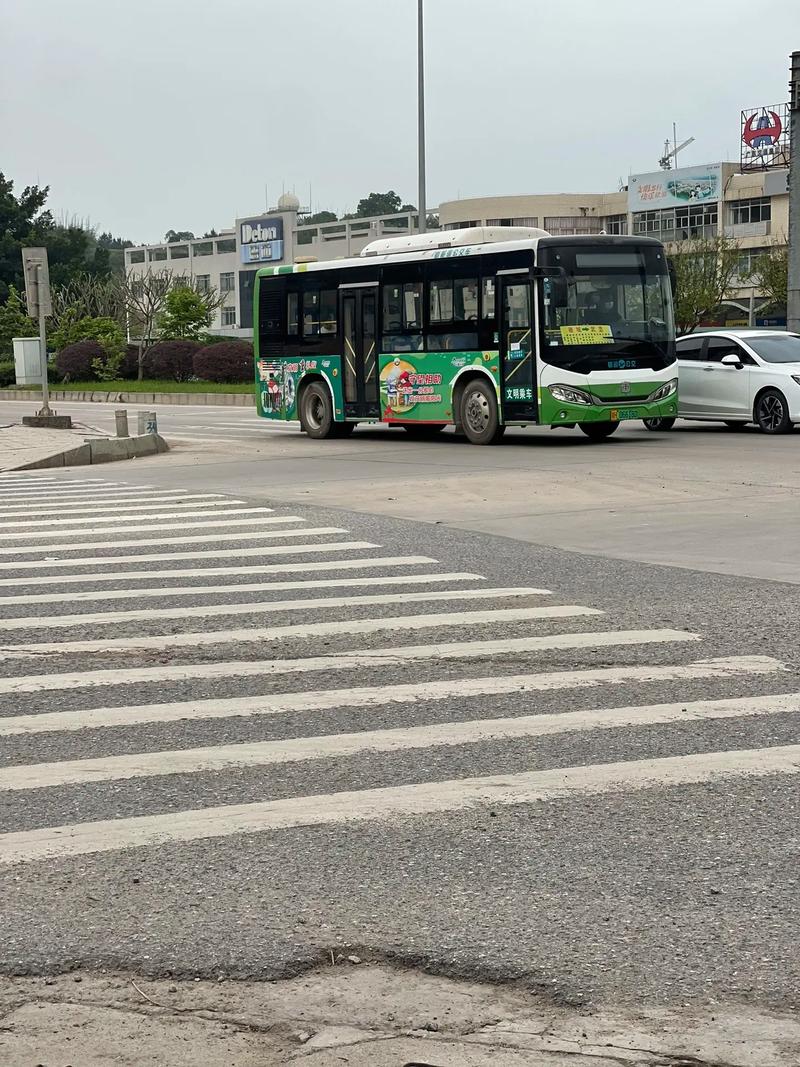 德庆西江大桥限行不,肇庆西江大桥通航净空-第2张图片 德庆西江大桥限行不,肇庆西江大桥通航净空-第2张图片