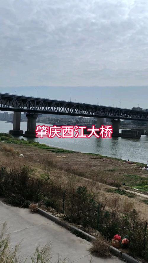 德庆西江大桥限行不,肇庆西江大桥通航净空-第6张图片 德庆西江大桥限行不,肇庆西江大桥通航净空-第6张图片