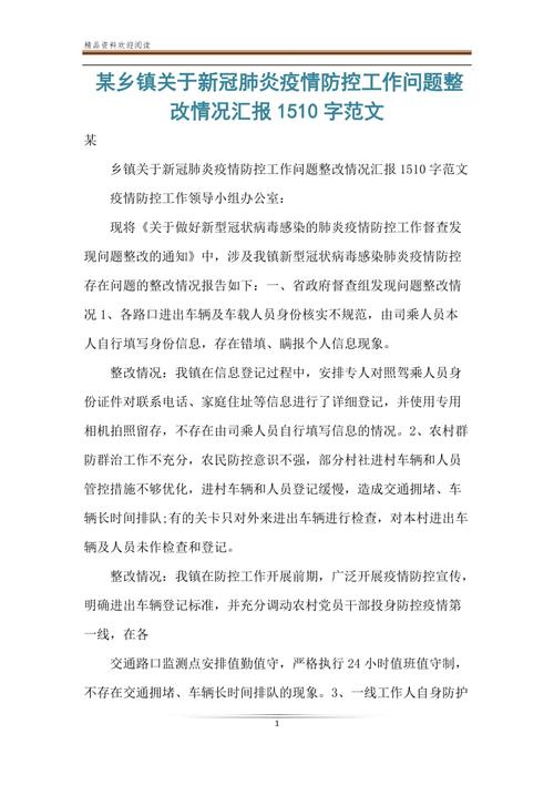 暗访武汉疫情-武汉疫情视察