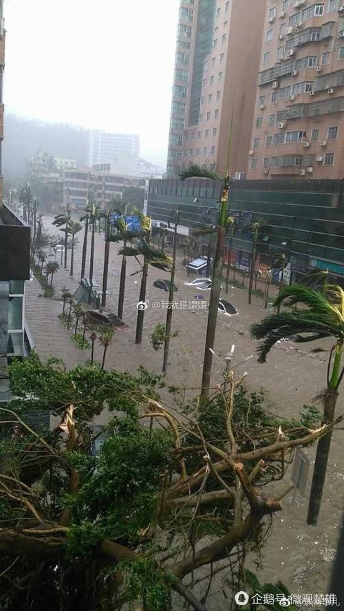 天鸽台风高速限行(台风天鸽路径)-第8张图片 天鸽台风高速限行(台风天鸽路径)-第8张图片