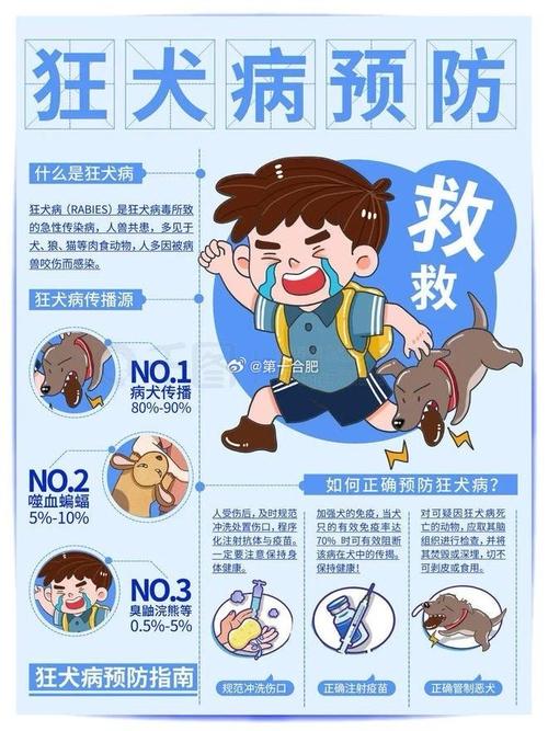 安徽病疫情，安徽疫情动态实时播报-第6张图片