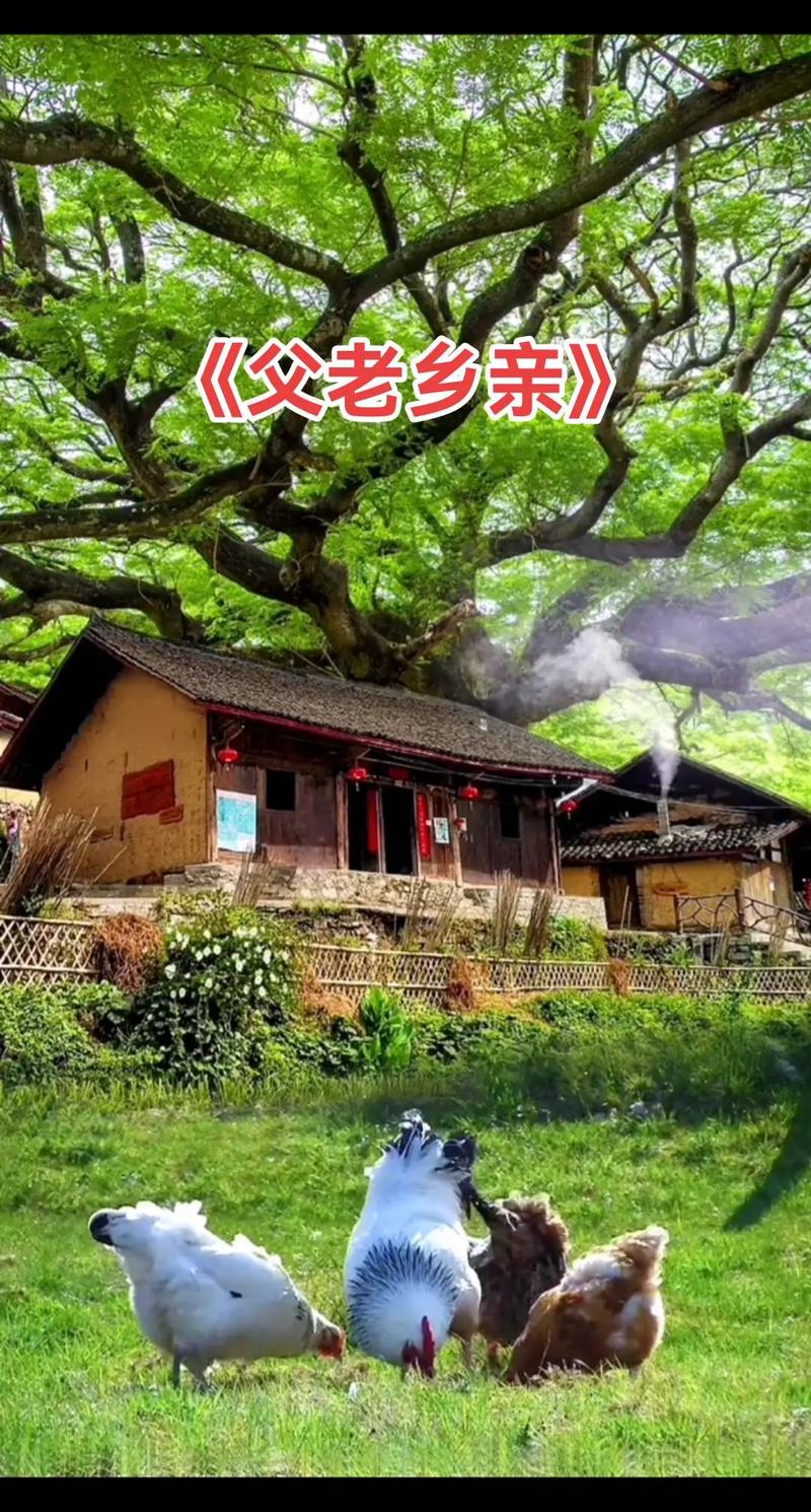 安阳疫情贴吧/疫情 安阳-第8张图片 安阳疫情贴吧/疫情 安阳-第8张图片