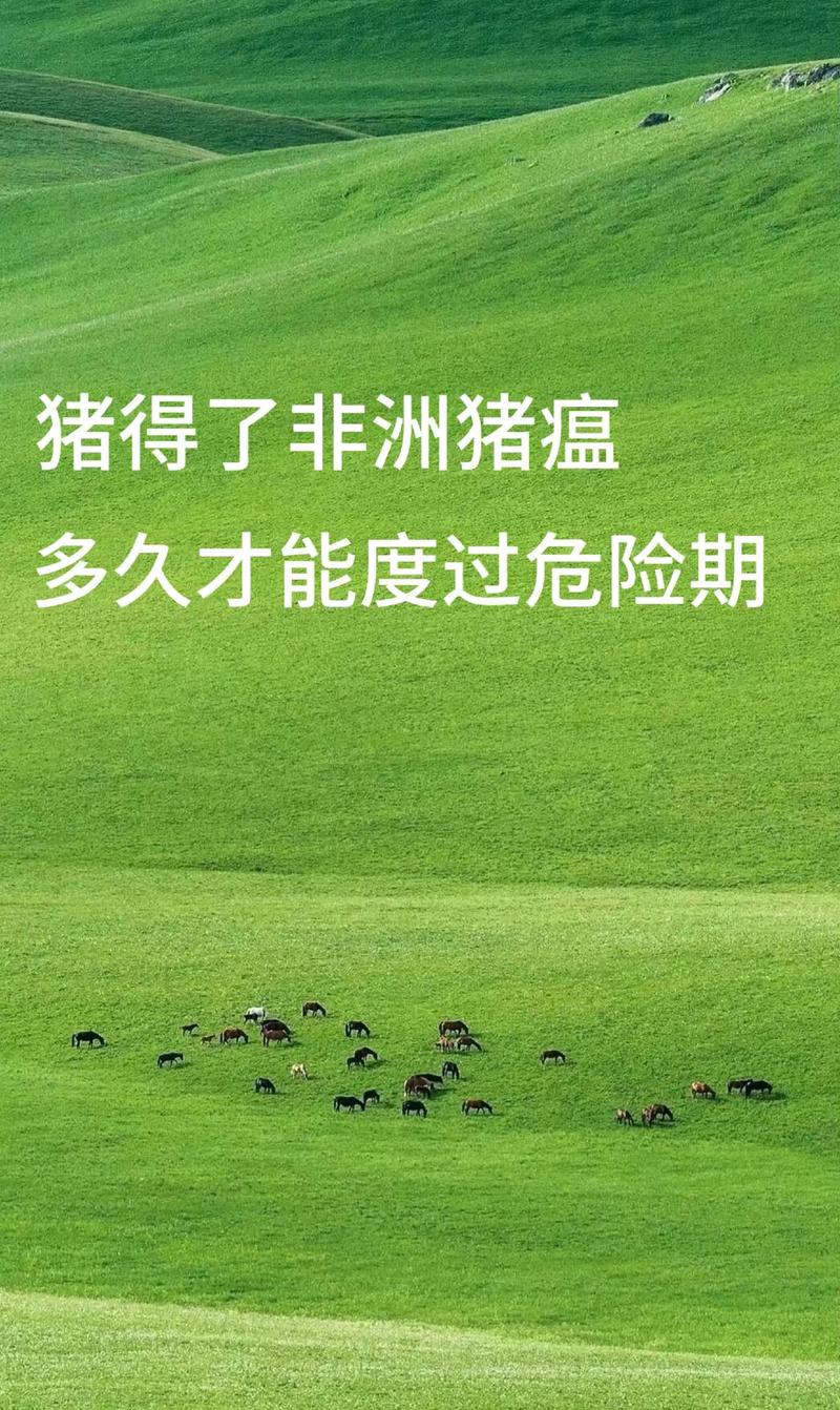 安徽生猪疫情(安徽省生猪行情走势)-第2张图片 安徽生猪疫情(安徽省生猪行情走势)-第2张图片