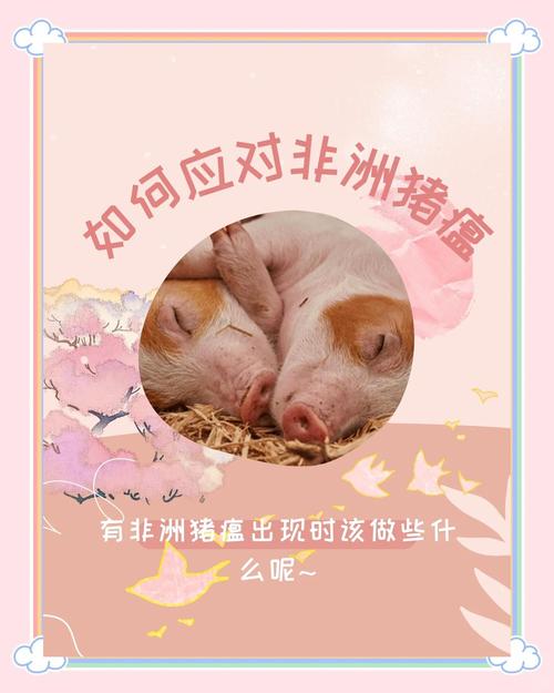 安徽生猪疫情(安徽省生猪行情走势)-第3张图片 安徽生猪疫情(安徽省生猪行情走势)-第3张图片
