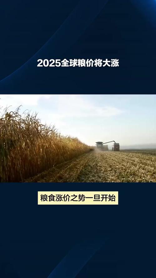 巴西大豆疫情/巴西大豆涨价,停止进口-第5张图片