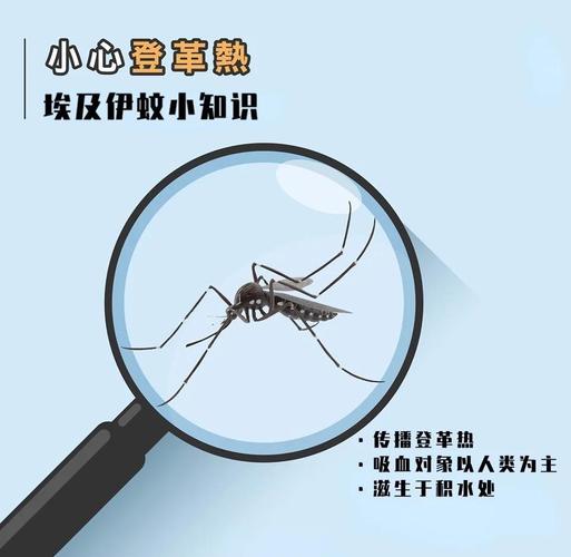 安格拉的疫情/安格拉是哪个国家的?-第2张图片