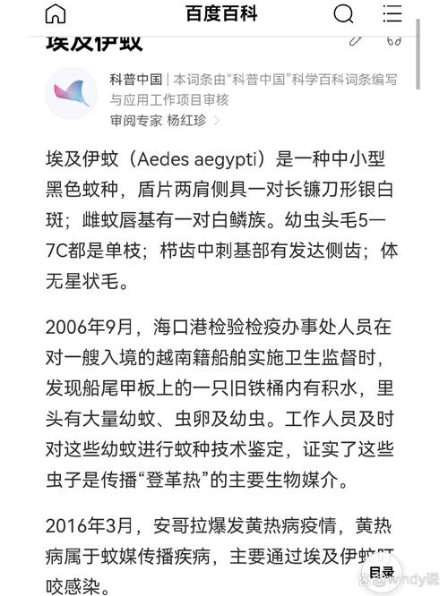 安格拉的疫情/安格拉是哪个国家的?-第3张图片
