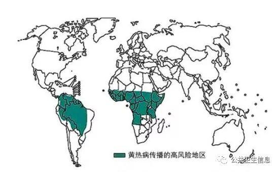巴西什么疫情-巴西疫情超900万-第7张图片 巴西什么疫情-巴西疫情超900万-第7张图片