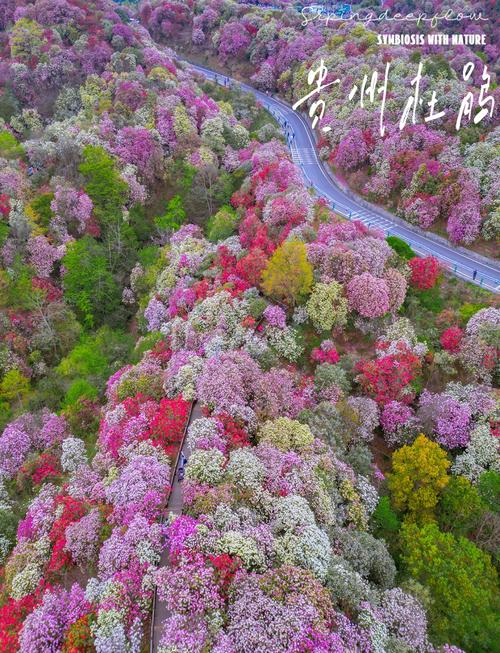 疫情近期情况(近期疫情情况通报)