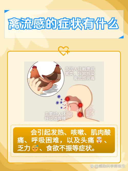 禽流感疫情,禽流感疫情最新消息-第3张图片 禽流感疫情,禽流感疫情最新消息-第3张图片
