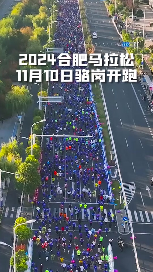 北京马拉松限行(北京马拉松限行区域2024)-第7张图片 北京马拉松限行(北京马拉松限行区域2024)-第7张图片