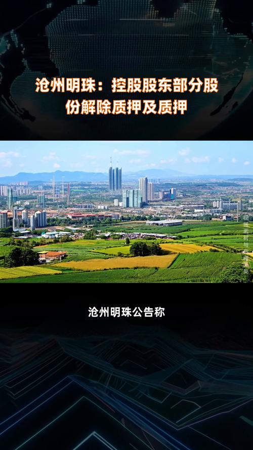 【沧州明珠限号吗,沧州明珠限号吗最新消息】-第2张图片 【沧州明珠限号吗,沧州明珠限号吗最新消息】-第2张图片