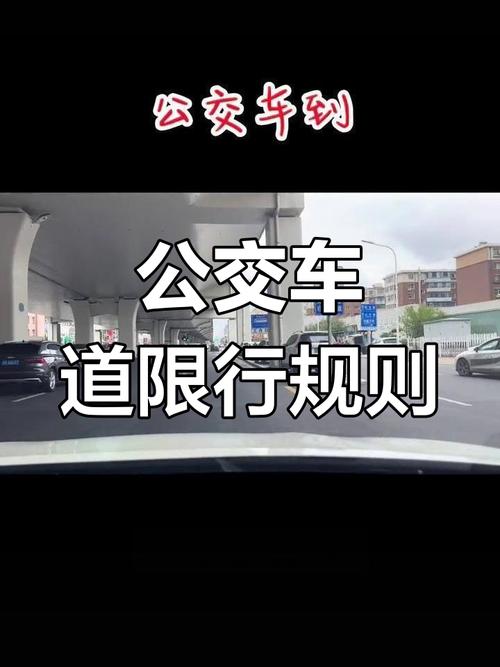 长春机动车限号规定(长春市是否对机动限号)-第3张图片 长春机动车限号规定(长春市是否对机动限号)-第3张图片
