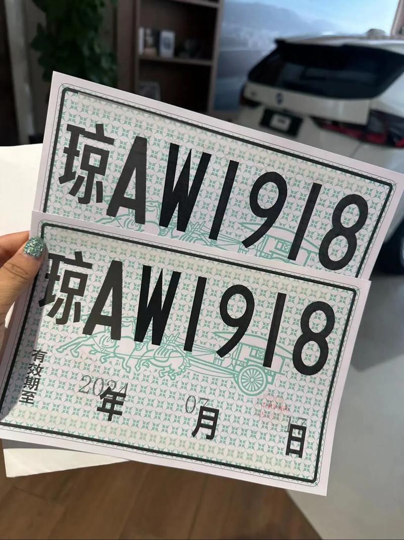 临时牌照也限号吗(临时牌照限号吗重庆)-第4张图片 临时牌照也限号吗(临时牌照限号吗重庆)-第4张图片