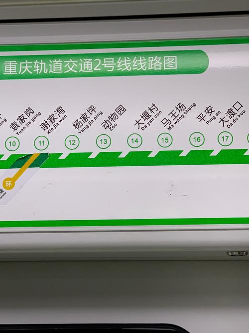 重庆明天限号/重庆明天限号多少-第7张图片 重庆明天限号/重庆明天限号多少-第7张图片