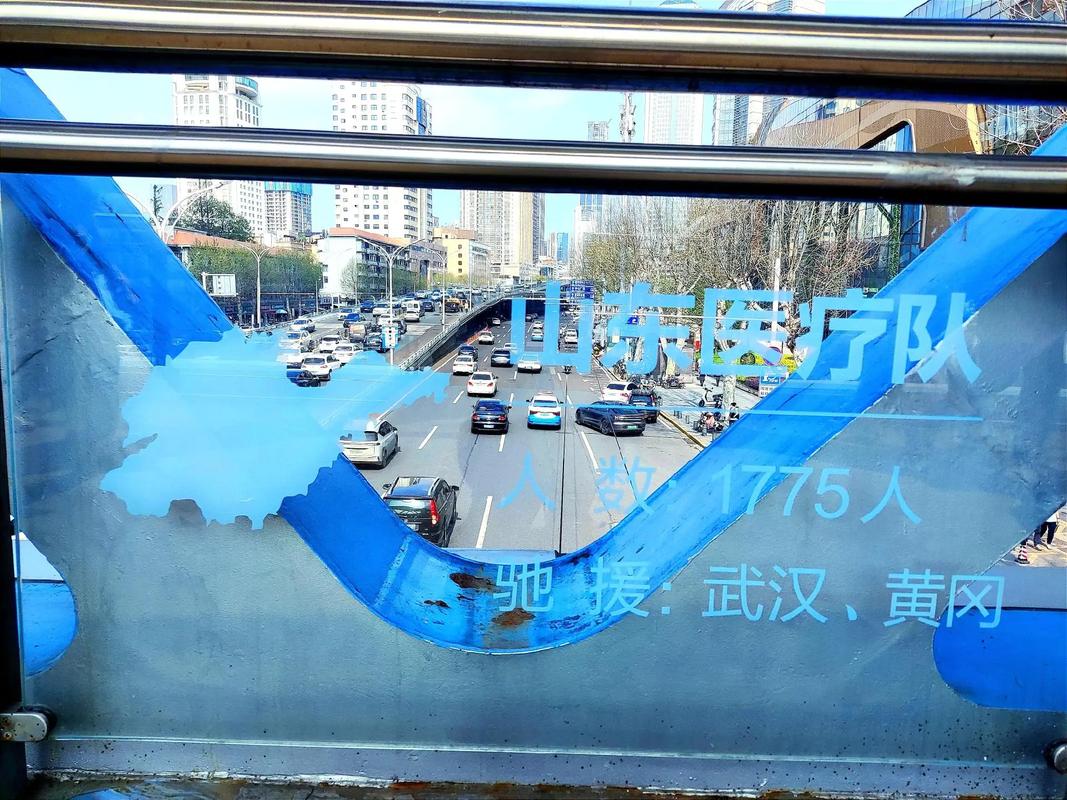 支援武汉疫情/支援武汉疫情聊天记录