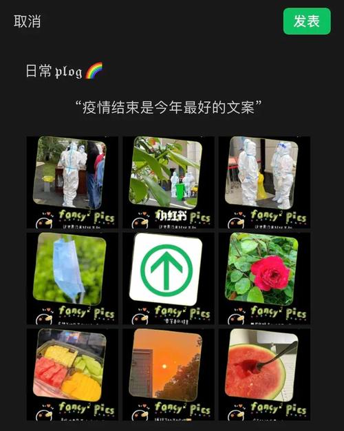疫情退散(疫情退却)-第7张图片 疫情退散(疫情退却)-第7张图片