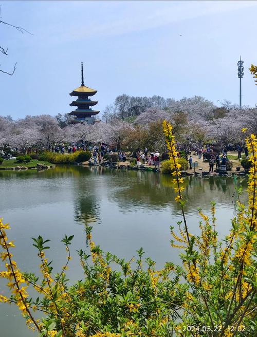 磨山限号(磨山景区限行)-第3张图片