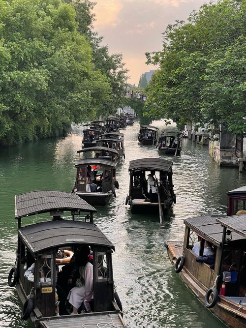 乌镇限号(乌镇有限行吗)-第5张图片 乌镇限号(乌镇有限行吗)-第5张图片