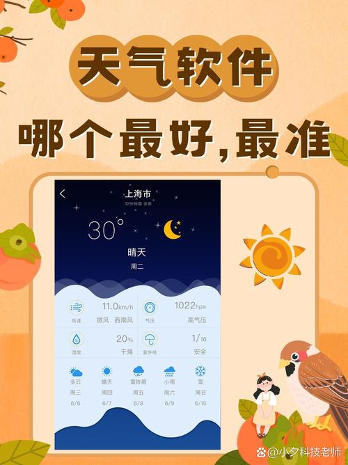 查限号软件(限号查询软件下载)-第3张图片 查限号软件(限号查询软件下载)-第3张图片