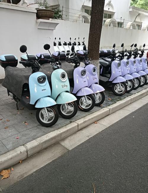 【电动汽车限号,电动汽车限号出行吗】-第4张图片 【电动汽车限号,电动汽车限号出行吗】-第4张图片