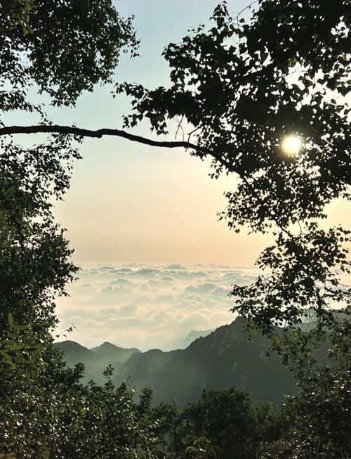 【平山限号查询,平山限号查询最新2024】-第4张图片 【平山限号查询,平山限号查询最新2024】-第4张图片