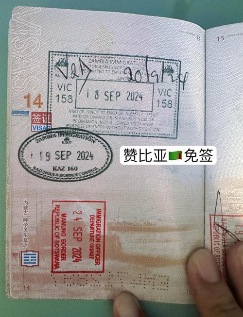 美国疫情新增(美国 疫情 新增)-第6张图片 美国疫情新增(美国 疫情 新增)-第6张图片