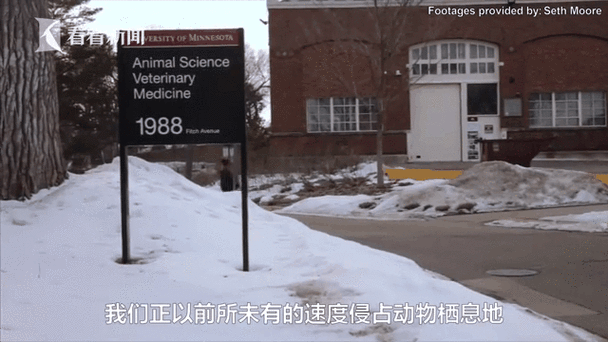 加拿大新冠疫情最新消息/加拿大新冠疫情最新报道