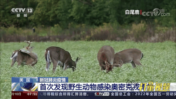 加拿大新冠疫情最新消息/加拿大新冠疫情最新报道-第2张图片 加拿大新冠疫情最新消息/加拿大新冠疫情最新报道-第2张图片
