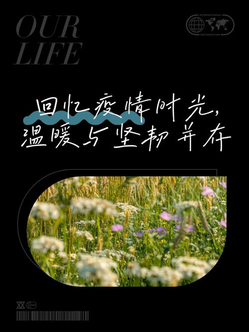 疫情中的美-疫情中的美国夏威夷海滩视频