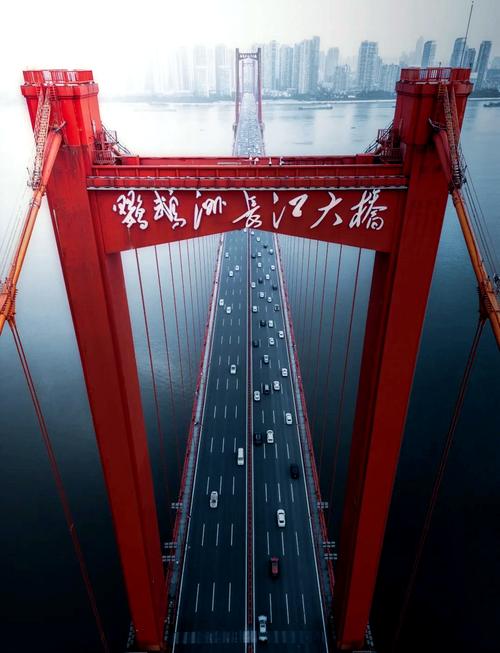 鹦鹉洲大桥限号吗(鹦鹉洲大桥可以走自行车吗)-第3张图片 鹦鹉洲大桥限号吗(鹦鹉洲大桥可以走自行车吗)-第3张图片
