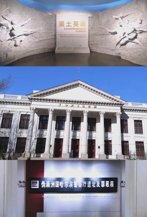 哈尔滨疫情最新消息(哈尔滨疫情最新消息今天新增病例)-第3张图片 哈尔滨疫情最新消息(哈尔滨疫情最新消息今天新增病例)-第3张图片