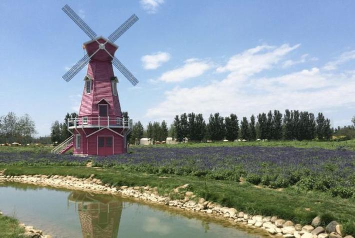 高邑限号,高邑限号查询今天-第5张图片 高邑限号,高邑限号查询今天-第5张图片
