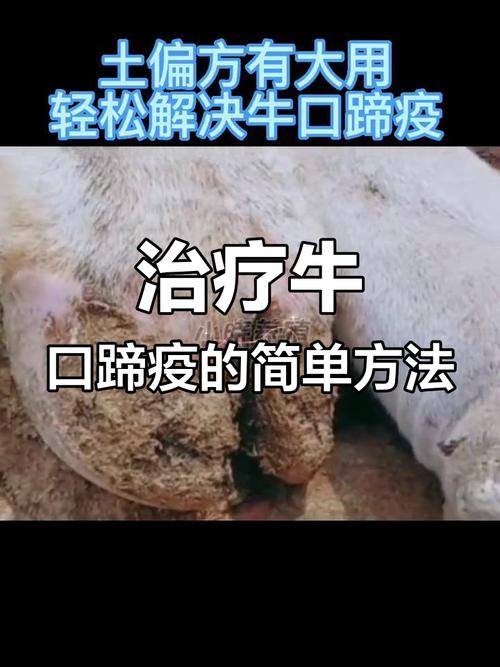口蹄疫疫情/口蹄疫疫情最新进展-第7张图片 口蹄疫疫情/口蹄疫疫情最新进展-第7张图片