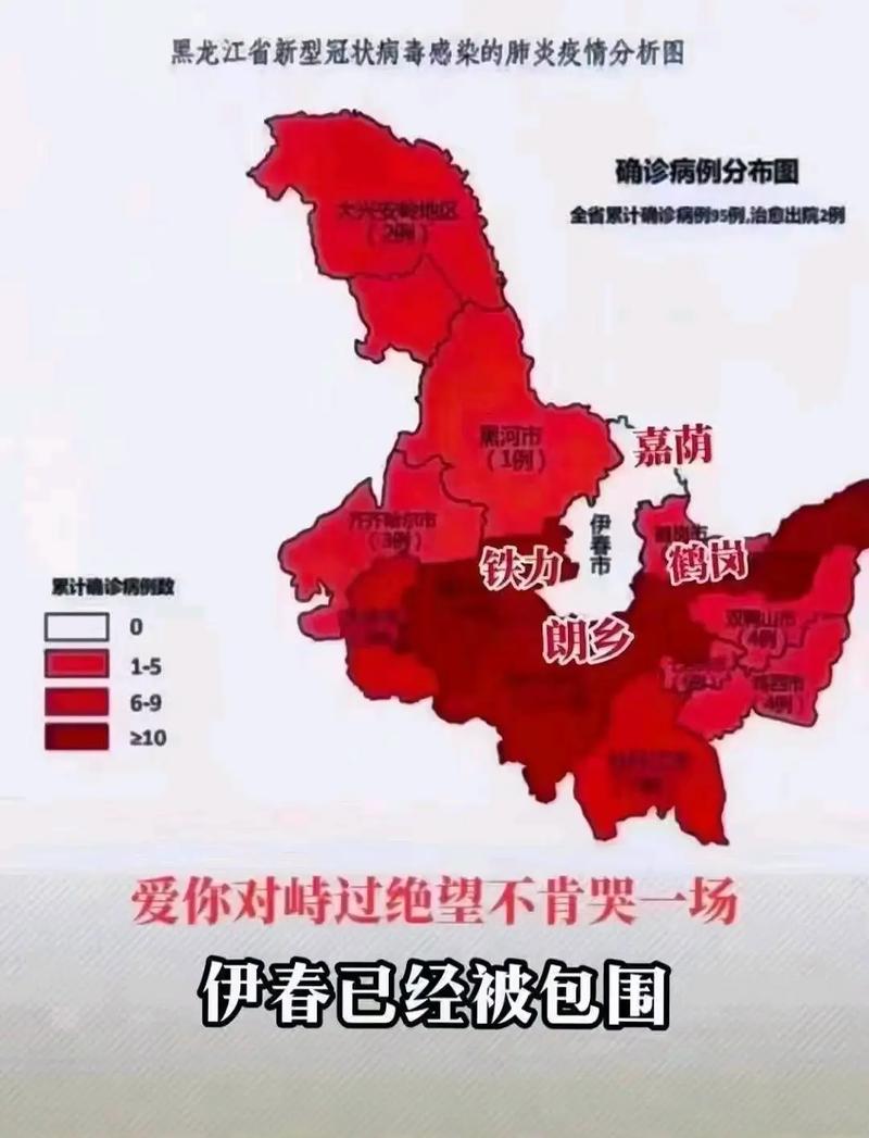 黑河疫情/黑河疫情爆发时间-第5张图片 黑河疫情/黑河疫情爆发时间-第5张图片