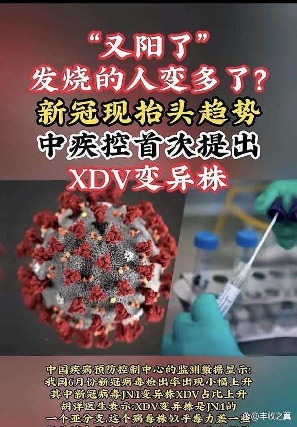【疫情近期情况,疫情近期情况如何】-第8张图片 【疫情近期情况,疫情近期情况如何】-第8张图片