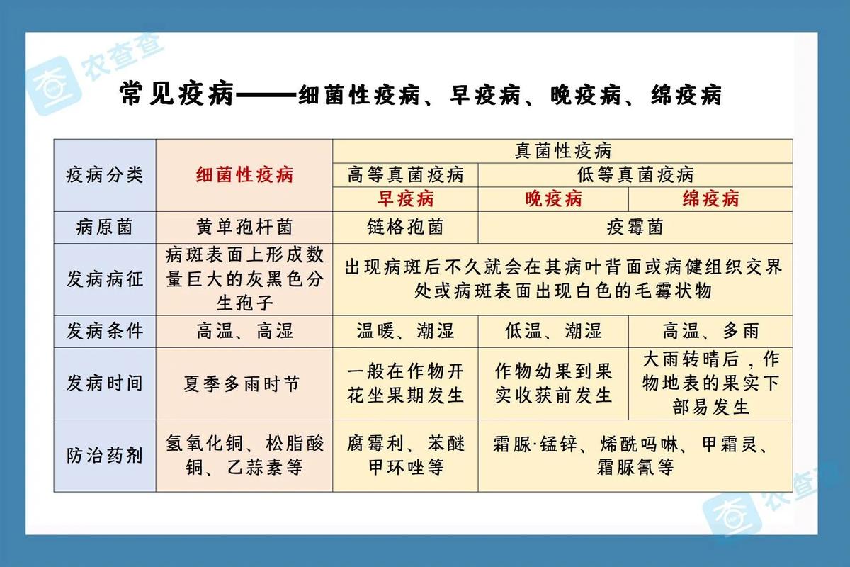 疫情拼音(疫情拼音字母)-第4张图片 疫情拼音(疫情拼音字母)-第4张图片