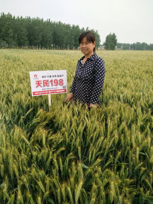 兰考限号-兰考限号通知2020-第3张图片 兰考限号-兰考限号通知2020-第3张图片