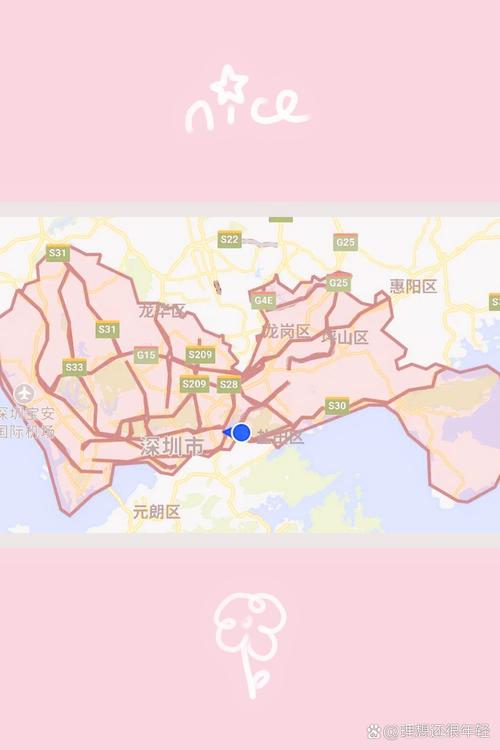 【深圳限行区域,深圳限行区域行驶怎么处罚】-第4张图片
